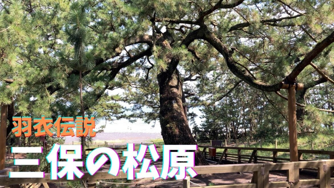 【４K】静岡県　三保の松原　この浜に、天女が舞い降りた　＃三保の松原　＃羽衣伝説　＃静岡